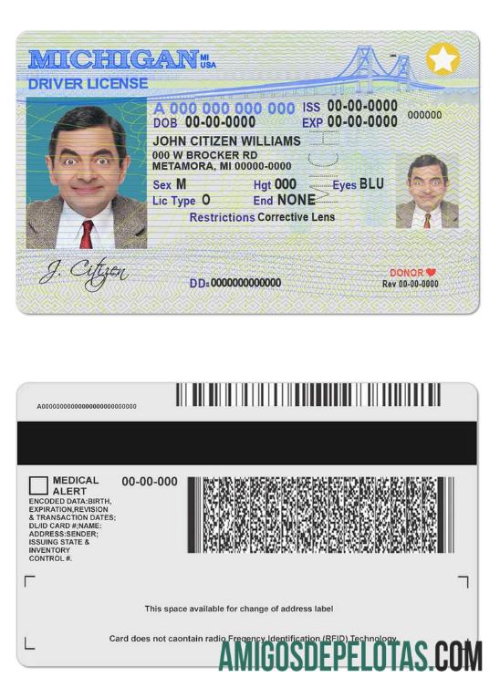 Carta de condução dos EUA Michigan exemplo